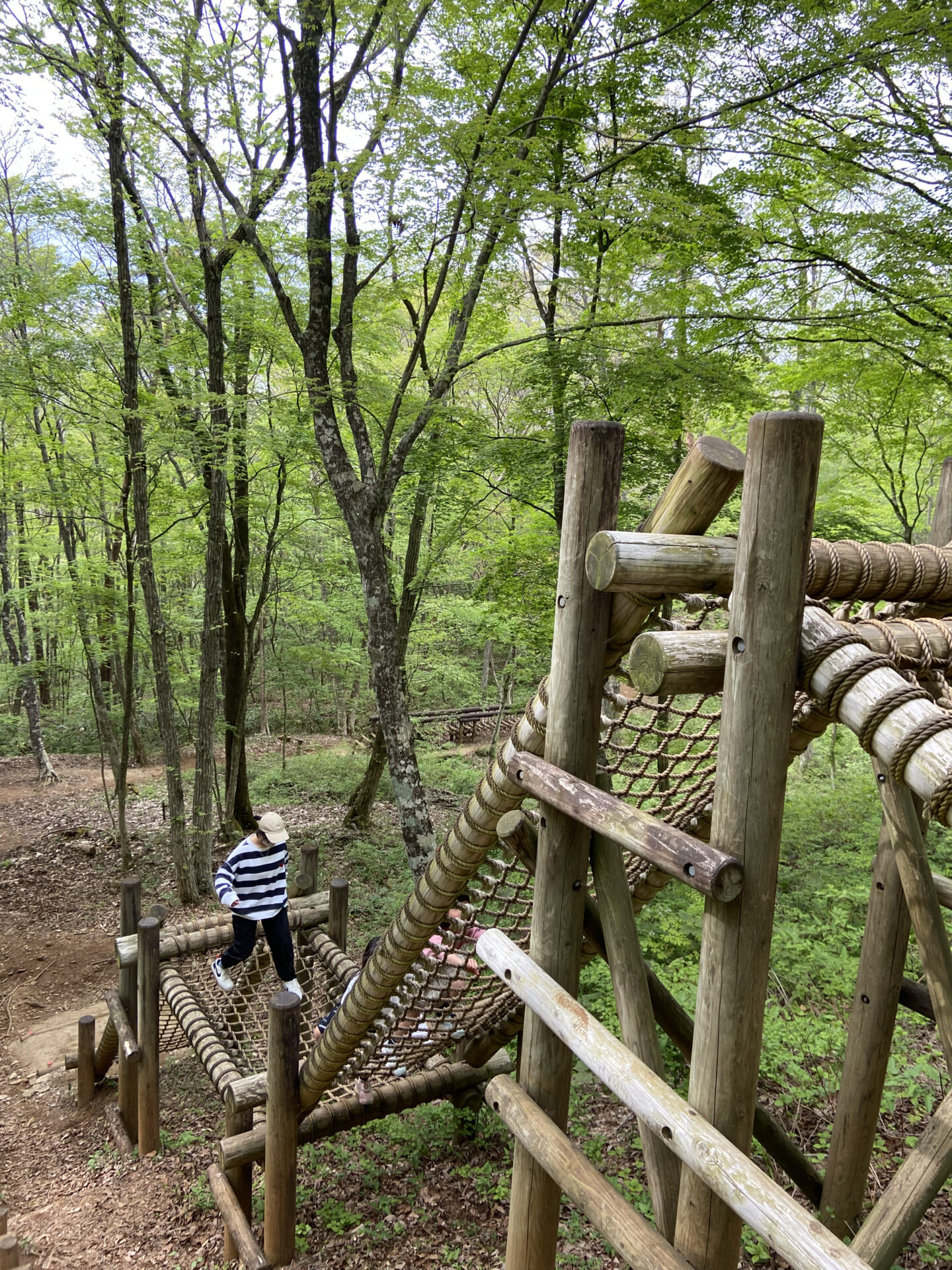 もみ の 木 森林 公園 アスレチック